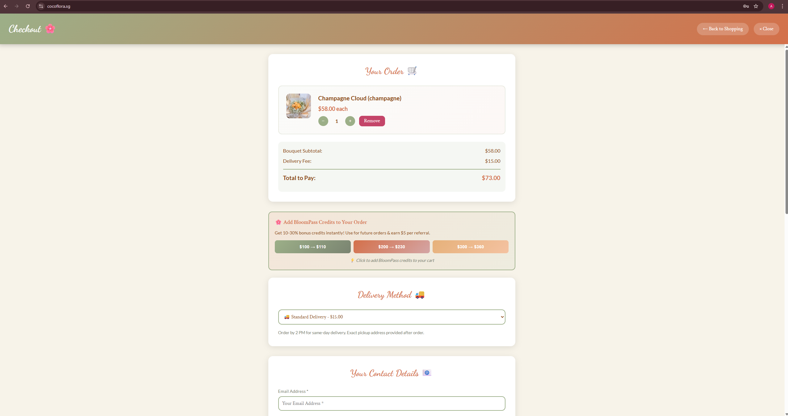 Retail Website - Checkout