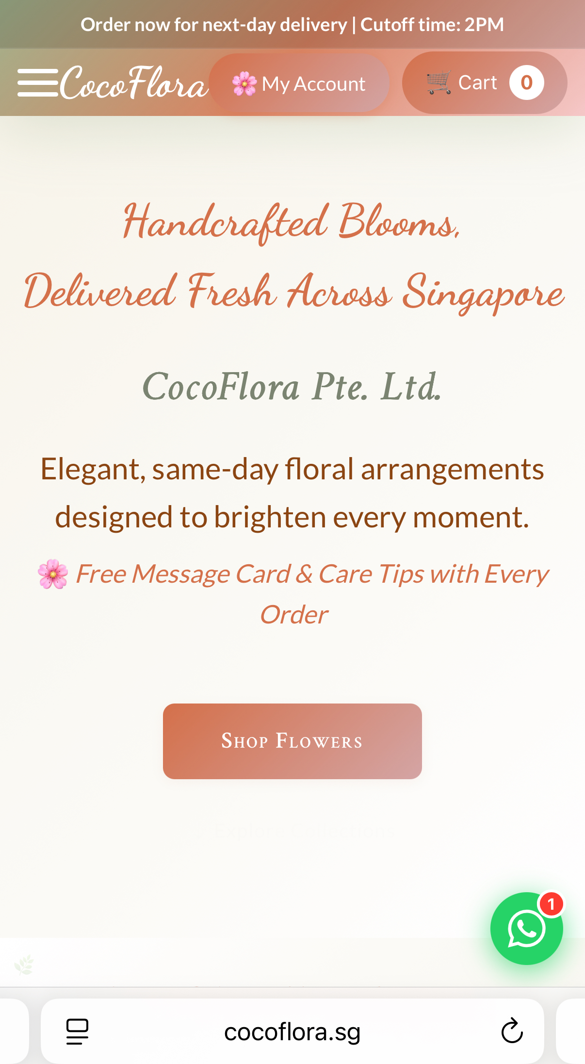 Retail Website - Mobile View 1